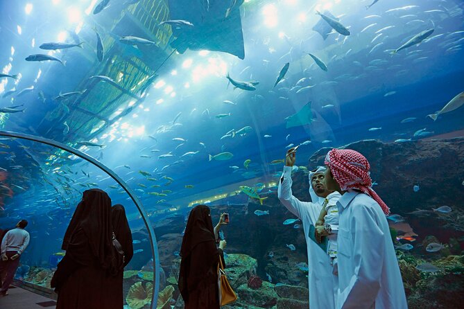 Dubai Aquarium & Underwater Zoo - Mammoth King Croc Attraction