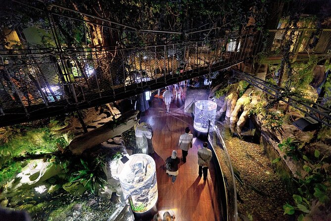 Dubai Aquarium & Underwater Zoo - Immersive Visitor Experiences