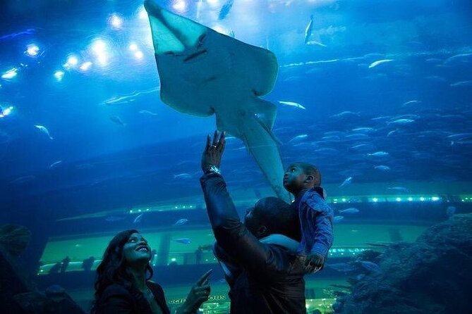 Dubai Aquarium With Optional Glass Bottom Boat Tour & Transfers - Meeting and Pickup Details