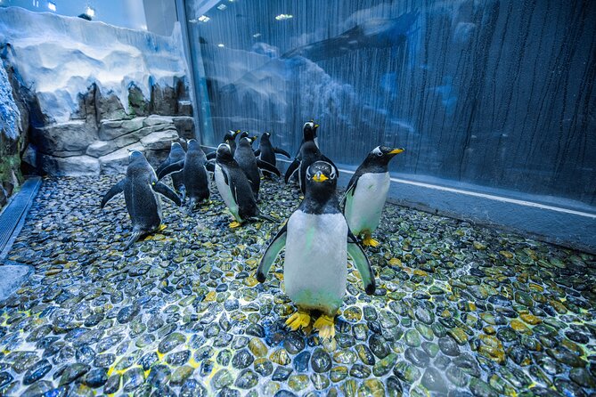 Dubai Aquarium With Various Animal Encounter and Access Options - Regular Pass Details