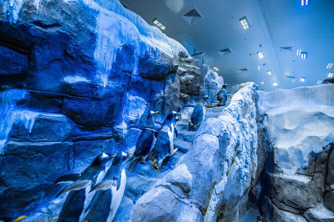 Dubai Aquarium With Various Animal Encounter and Access Options - Ultimate Experience Highlights