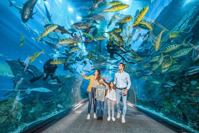 Dubai Aquarium With Various Animal Encounter and Access Options - Animal Encounter Packages