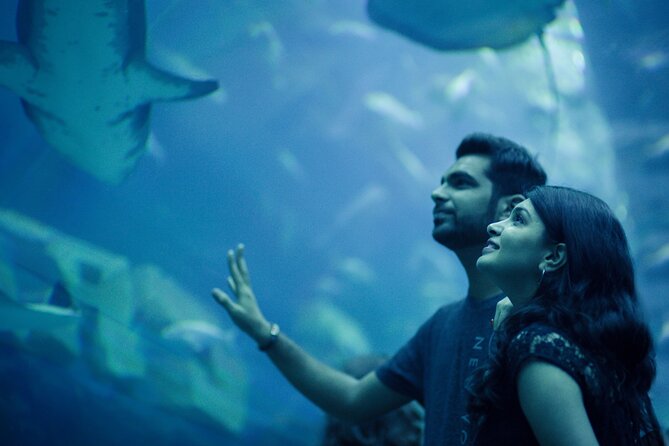 Dubai Aquarium With Various Animal Encounter and Access Options - Age and Accessibility