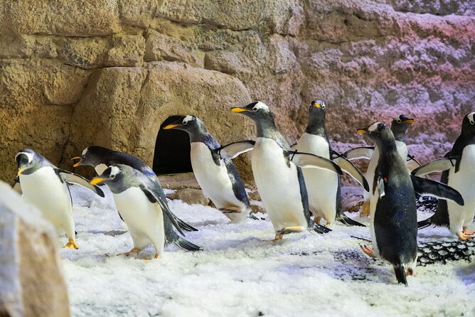 Dubai Aquarium With Various Animal Encounter and Access Options - Guest Reviews and Feedback