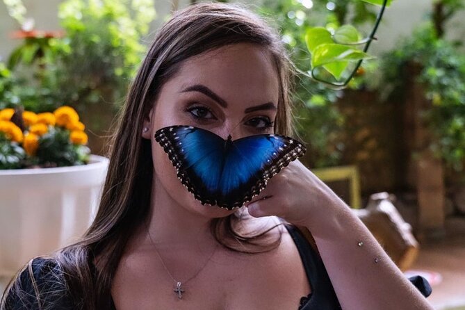 Dubai Butterfly Garden Entry Ticket - Accessibility and Participation
