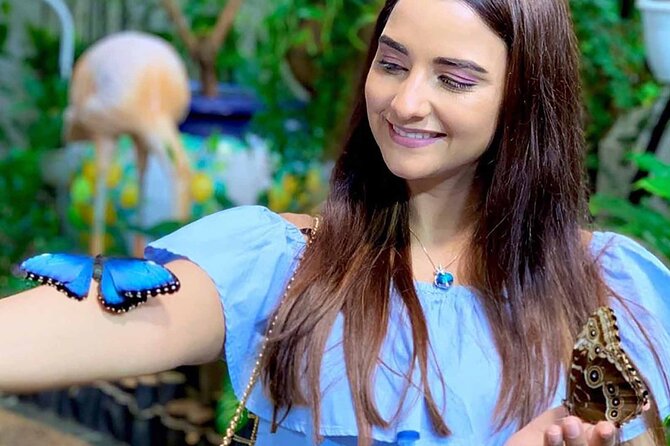 Dubai Butterfly Garden : Skip The Line / Mobile Voucher Accepted - Accessibility and Mobility