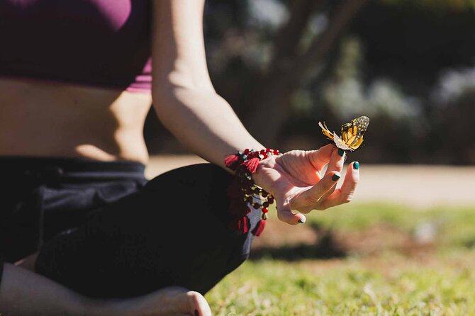 Dubai Butterfly Garden : Skip The Line / Mobile Voucher Accepted - Cancellation Policy