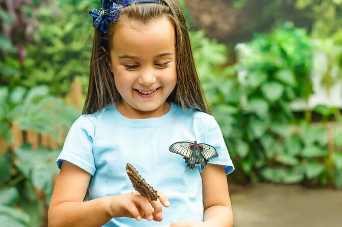 Dubai Butterfly Garden : Skip The Line / Mobile Voucher Accepted - Highlights and Attractions