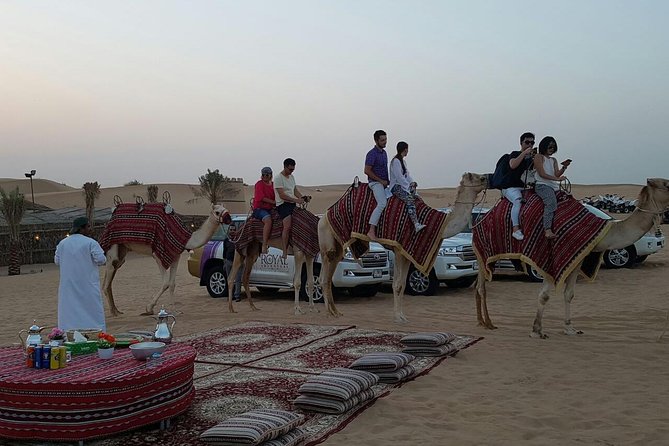 Dubai Camel Caravan With BBQ Dinner Buffet - Bedouin Camp Visit