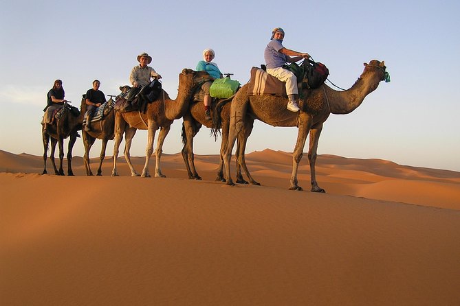 Dubai Camel Caravan With BBQ Dinner Buffet - Cultural Immersion