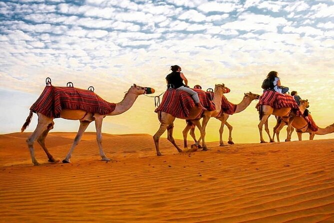 Dubai Camel Caravan With BBQ Dinner Buffet - Dining Experience