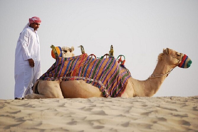 Dubai City Tour and Evening Desert Safari Combo - Customer Feedback