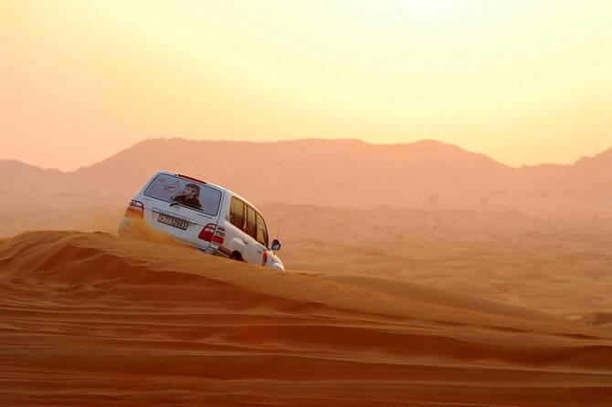 Dubai City Tour and Evening Desert Safari Combo - Highlights and Activities
