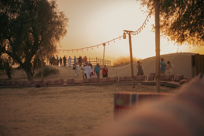 Dubai City Tour With Al Marmoom Desert Dinner and Show - Pricing and Cancellation Policy