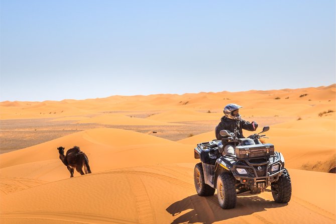 Dubai Desert Dinner, Camel Ride, Sandboarding, Live Shows, BBQ - Camel Ride Experience