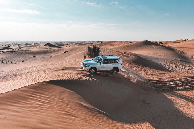 Dubai Desert Safari: Camel Ride, Sandboarding, BBQ & Soft Drinks - Savoring the 3-Course Dinner Buffet