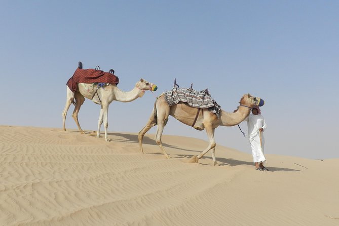Dubai Desert Safari Dune Bashing, 60min ATV Quad, Camel Ride, BBQ - Delectable 5-Course BBQ Dinner