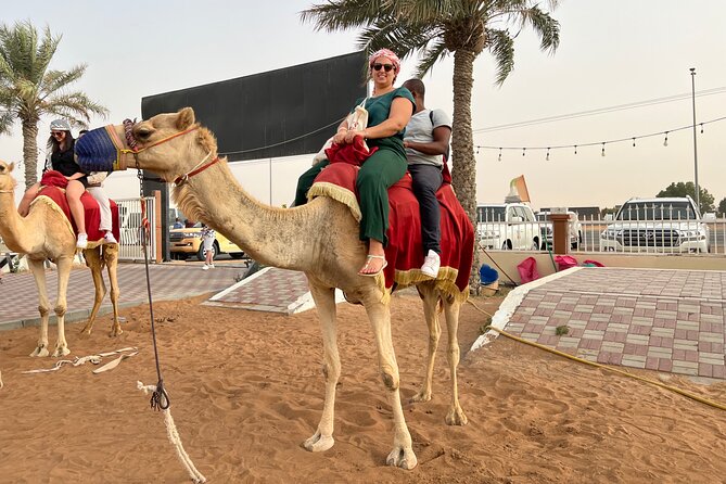 Dubai Desert Safari- Experience The Thrill in The Desert - Delectable Dinner Delights