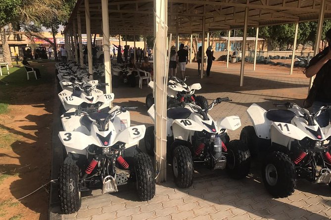 Dubai Desert Safari Morning With Quad Biking and Camel Ride - Customer Reviews