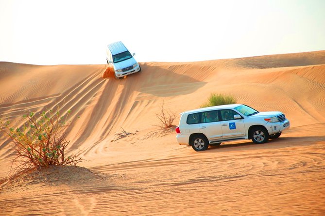 Dubai Desert Safari With 4x4 Dune Bashing and BBQ Dinner - Inclusions