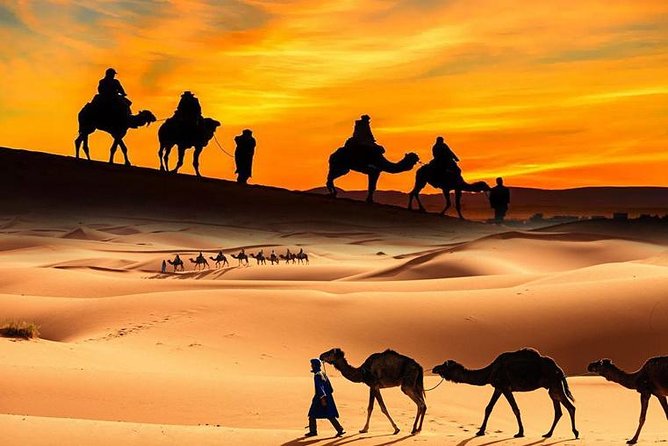 Dubai Desert Safari With Bbq, 3 Shows & Camel Ride at Majlis Camp - Just The Basics