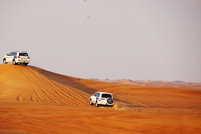 Dubai Desert Safari With Bbq, 3 Shows & Camel Ride at Majlis Camp - Camel Ride at Majlis Camp