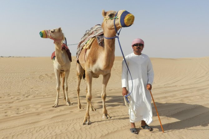 Dubai Desert Safari With Bbq, 3 Shows & Camel Ride at Majlis Camp - Henna, Shisha, and Dress-Up
