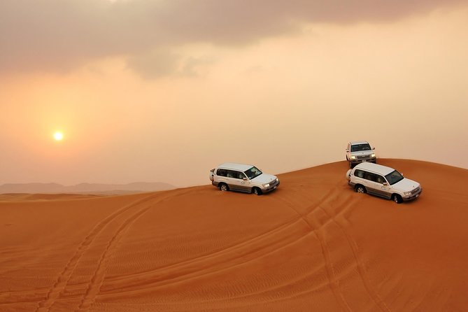 Dubai Desert Safari With BBQ Dinner, Camel Ride, and Shows - Included Activities