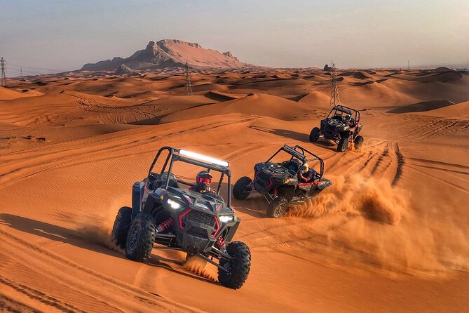 Dubai Desert Safari With Camel Ride and Sand Boarding - What to Expect on the Safari