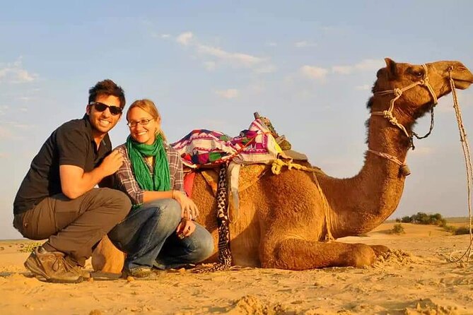 Dubai Desert Safari With Dance Show, Sand Boarding, Camel & BBQ - Meeting and Pickup