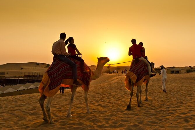 Dubai Desert Safari With Dune Bashing, Camel Rides & BBQ Dinner - Pickup and Transportation Details