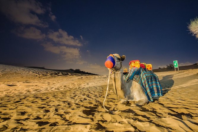 Dubai Desert Safari With Quad Bike, Sandboarding, Live Show & BBQ - Activities Included