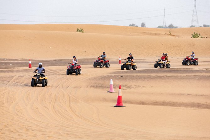 Dubai Desert Safari With Quads, BBQ Dinner, Camel Ride, & Shows - Delectable BBQ Dinner