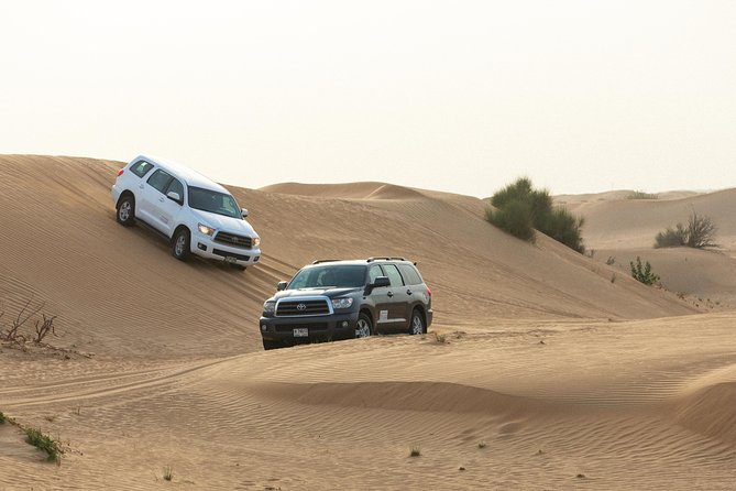 Dubai Desert Safari With Quads, BBQ Dinner, Camel Ride, & Shows - Pickup, Drop-off, and Logistics