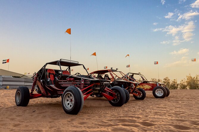 Dubai Dune Buggy Safari Tour in Red Dunes Options - Tour Logistics