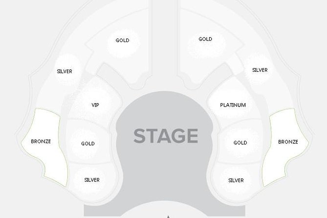 Dubai La Perle by Dragone Show With Exclusive Transfers - Accessibility and Participation
