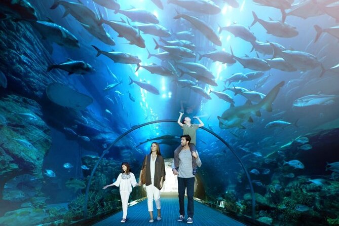 Dubai Mall Aquarium and Underwater Zoo Ticket - Review Highlights and Ratings