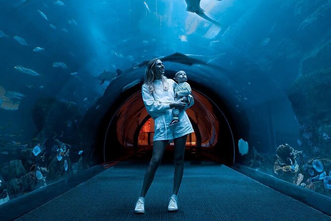 Dubai Mall Aquarium and Underwater Zoo Ticket - Visitor Experiences and Highlights