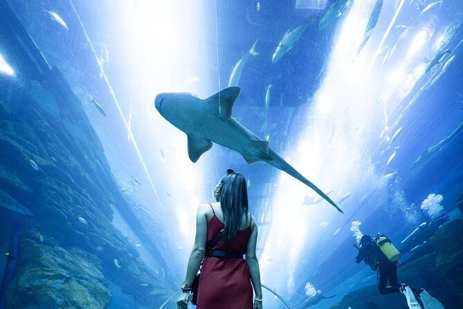 Dubai Mall Aquarium and Underwater Zoo Ticket - Cancellation and Refund Policy