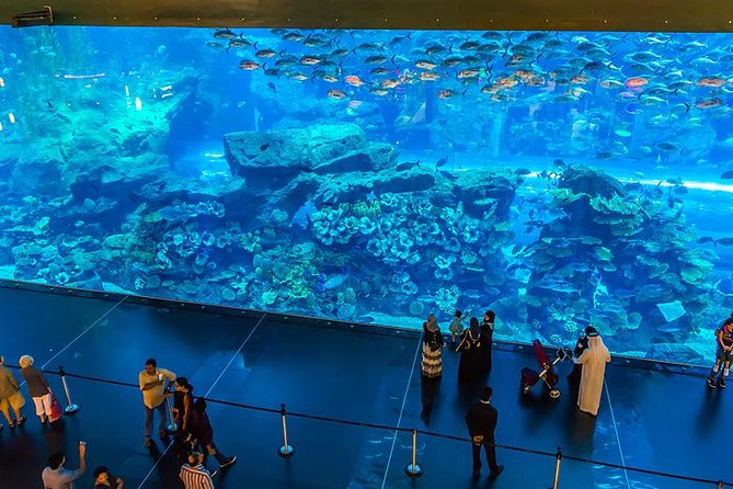 Dubai Mall Aquarium & Underwater Zoo - Visitor Tips and Recommendations