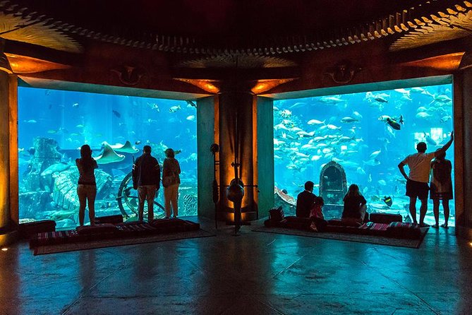 Dubai Mall Aquarium & Underwater Zoo - Exploring the Underwater World