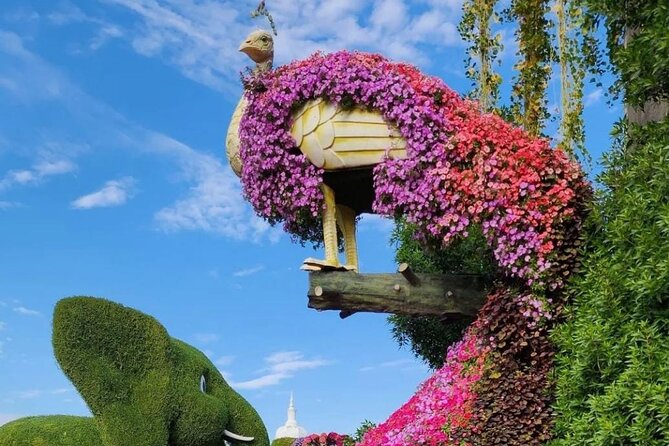 Dubai: Miracle Garden: A Blossoming Wonderland Admission Ticket - Customer Reviews and Feedback