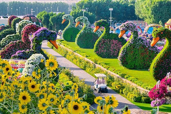 Dubai Miracle Garden Entry Tickets - Attractions and Highlights