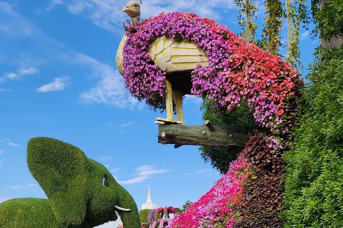 Dubai Miracle Garden Skip the Line E-Ticket - Weather and Comfort Considerations