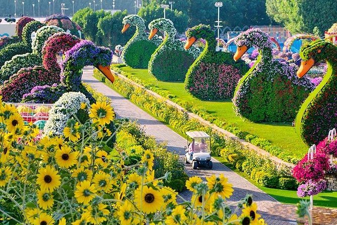 Dubai Miracle Garden With Private Round Trip Transfers - Meeting and Pickup Details