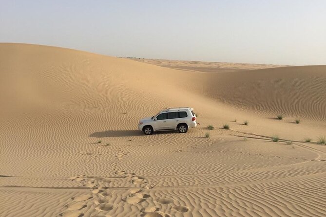 Dubai: Morning Desert Safari With 30 Minutes Buggy - Booking and Reservation Information