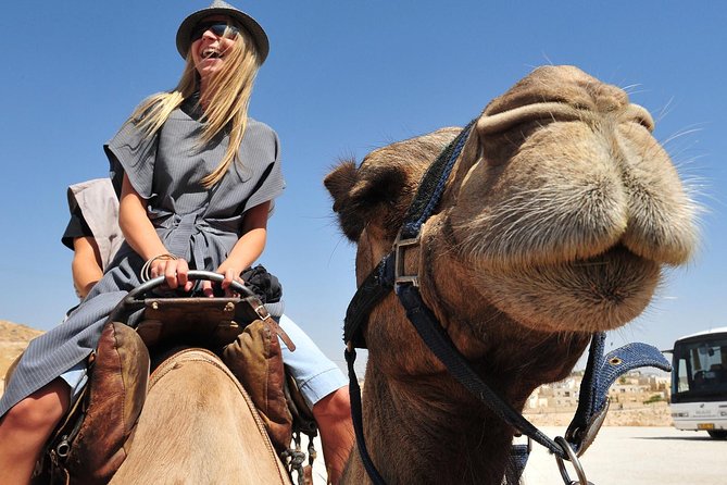 Dubai Morning Red Dunes With Camel Safari & Sandsurf - Accessibility and Fitness Requirements