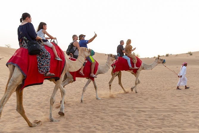 Dubai Premium Desert Safari With BBQ Dinner in Red Dunes - Dietary Accommodations