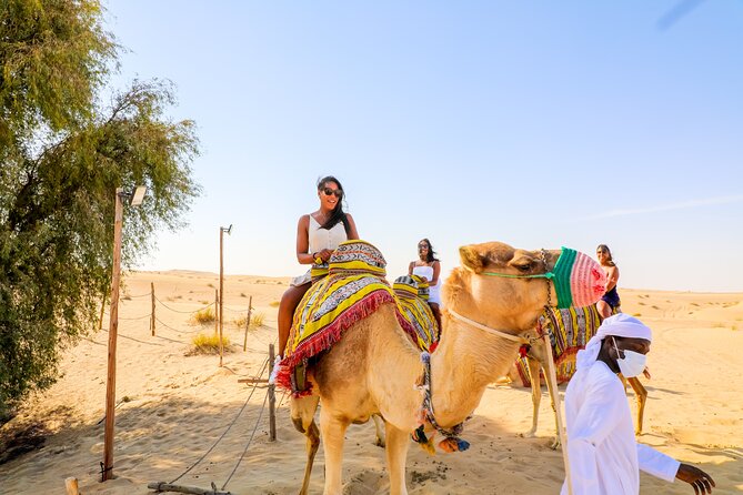 Dubai: Premium Red Dunes, Camel Ride & 5* BBQ at Al Khayma Camp - Just The Basics