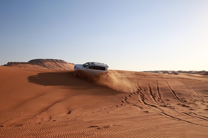 Dubai Red Dune Desert Safari, Camels, Sandboarding & BBQ Options - Tour Duration and Activities